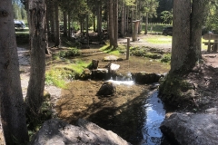Foto 13.09.18, 14 58 00