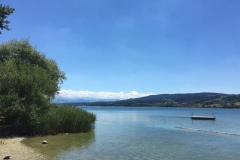 Foto 26.06.18, 13 24 38