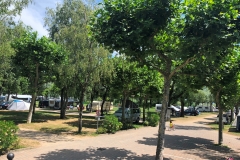 Foto 29.06.18, 14 45 34
