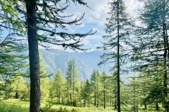 Capanna-Arena-Tessin-4