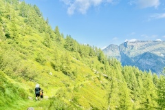 Capanna-Arena-Tessin-5