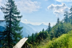 Capanna-Arena-Tessin-6