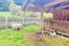 Familienhotel-Huber-Vals-78