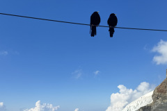 Jungfraujoch-Top-of-Europe-55