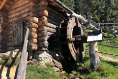Foto 12.09.18, 11 51 13