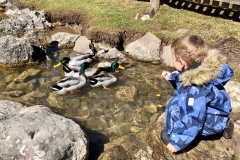 Foto 29.03.19, 11 37 48