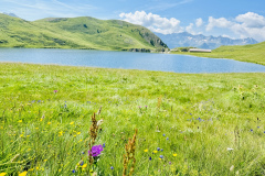 Cadlimohuette-Ritom-See-6