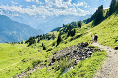 Schynige-Platte-Berner-Oberland-20
