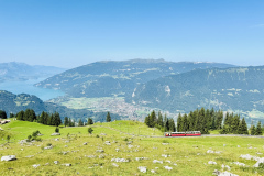 Schynige-Platte-Berner-Oberland-7