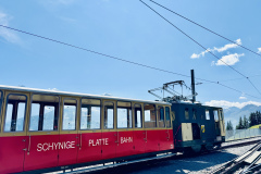Schynige-Platte-Berner-Oberland-8
