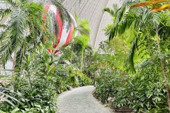Tropical-Islands-Brandenburg-26