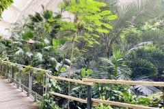 Tropical-Islands-Brandenburg-32