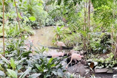 Tropical-Islands-Brandenburg-33