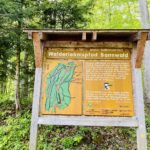 Walderlebnispfad Ottobeuren 2 150x150 - Oberschönenfeld - Ausflugstipp für Familien im Augsburger Land