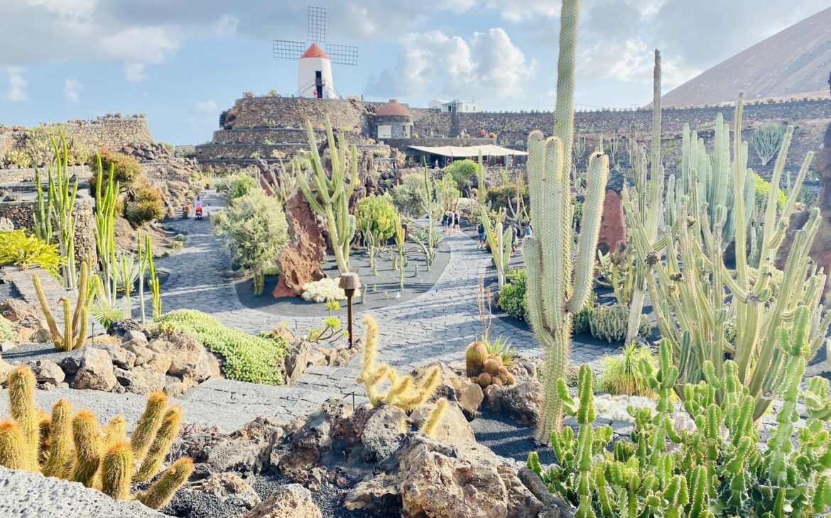 jardin de cactus lanzarote 2 1170x730 - Erfahrung Jardin de Cactus Lanzarote