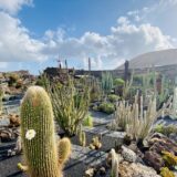 jardin de cactus lanzarote 3 160x160 - Tipps Kauf Mütze für den Herbst und Winter
