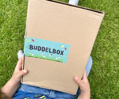 Buddelbox 2 470x390 - Buddelbox (2)