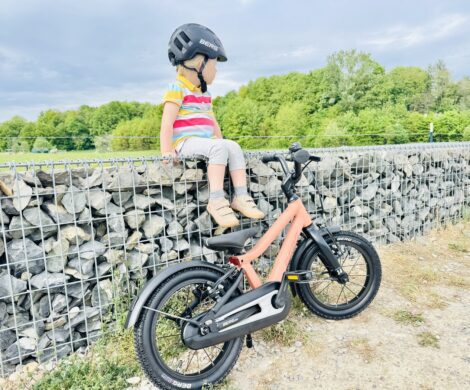 berg dash 14 terracotta red kinderfahrrad 470x390 - berg-dash-14-terracotta-red-kinderfahrrad