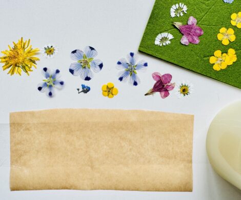 blumen pressen blumenpresse 470x390 - blumen-pressen-blumenpresse
