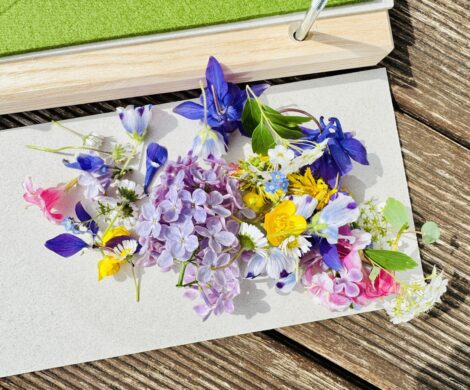 blumen sammeln fuer blumensticker 470x390 - blumen-sammeln-fuer-blumensticker