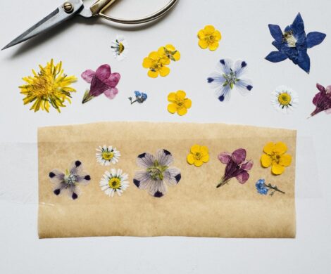 blumensticker klebeband backpapier 470x390 - blumensticker-klebeband-backpapier