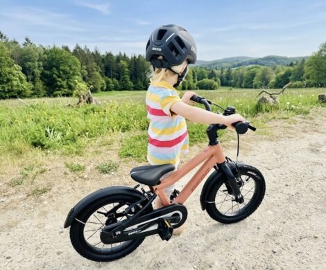ergonomisches kinderfahrrad berg dash 14 470x390 - ergonomisches-kinderfahrrad-berg-dash-14