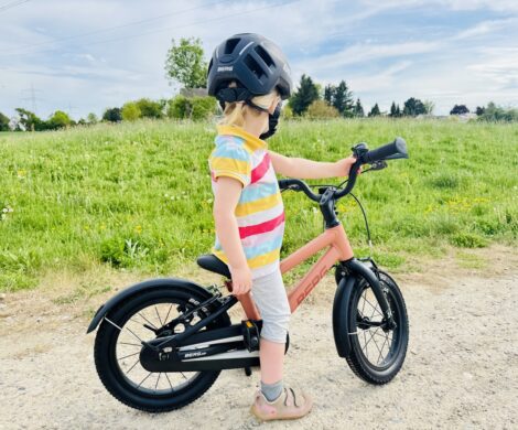 erstes fahrrad fuer kinder berg dash 14 470x390 - erstes-fahrrad-fuer-kinder-berg-dash-14
