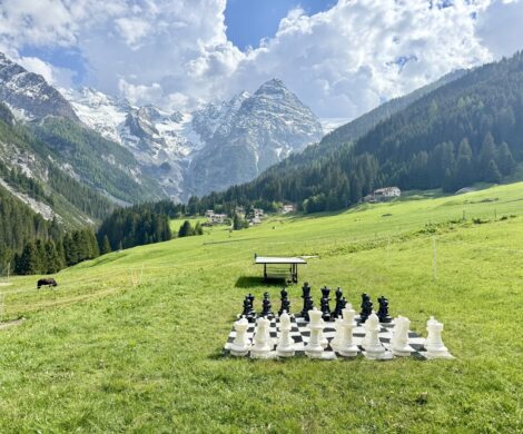 familienurlaub-suedtirol-berge-hotel familienurlaub suedtirol berge hotel 470x390 - familienurlaub-suedtirol-berge-hotel