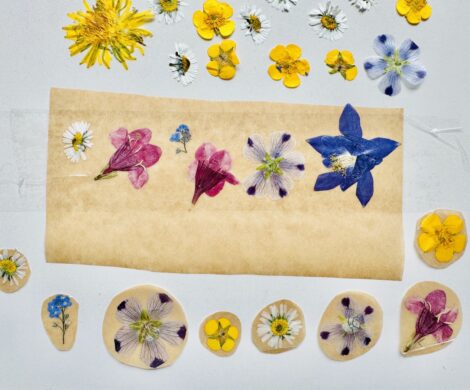 gepresste blumen aufkleben sticker 470x390 - gepresste-blumen-aufkleben-sticker