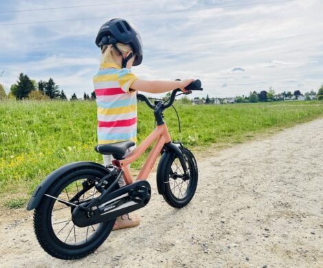 leichtes kinderfahrrad berg dash 14 470x390 - leichtes-kinderfahrrad-berg-dash-14