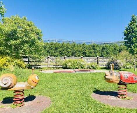 spielpark apfelgarten natz schabs 470x390 - spielpark-apfelgarten-natz-schabs