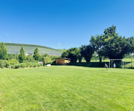 spielplatz mit picknickplatz suedtirol 470x390 - spielplatz-mit-picknickplatz-suedtirol.
