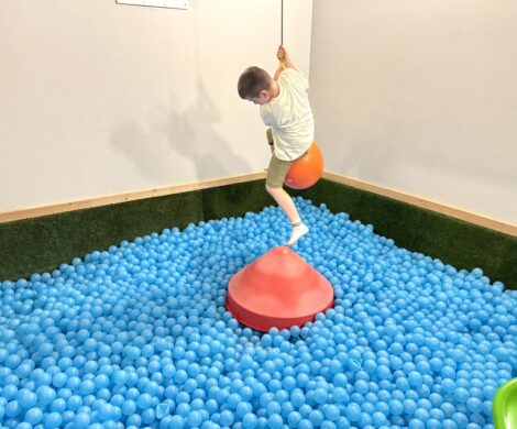 das-muehlwald-familienhotel-indoor-spielbereiche (3) das muehlwald familienhotel indoor spielbereiche 3 470x390 - das-muehlwald-familienhotel-indoor-spielbereiche (3)