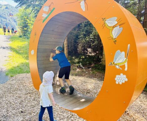 bester spielplatz tirol 470x390 - bester-spielplatz-tirol