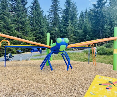 spielplatz fieberbrunn 470x390 - spielplatz-fieberbrunn