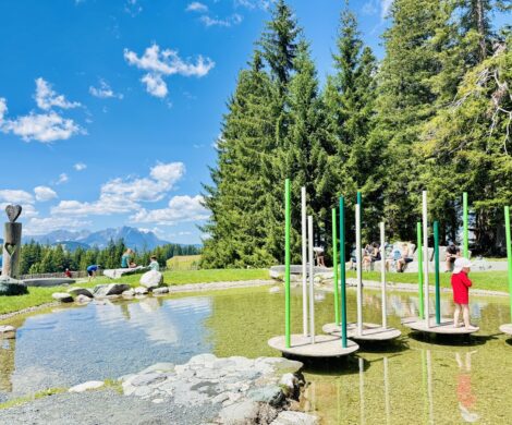 spielplatz timoks wilde welt 470x390 - spielplatz-timoks-wilde-welt