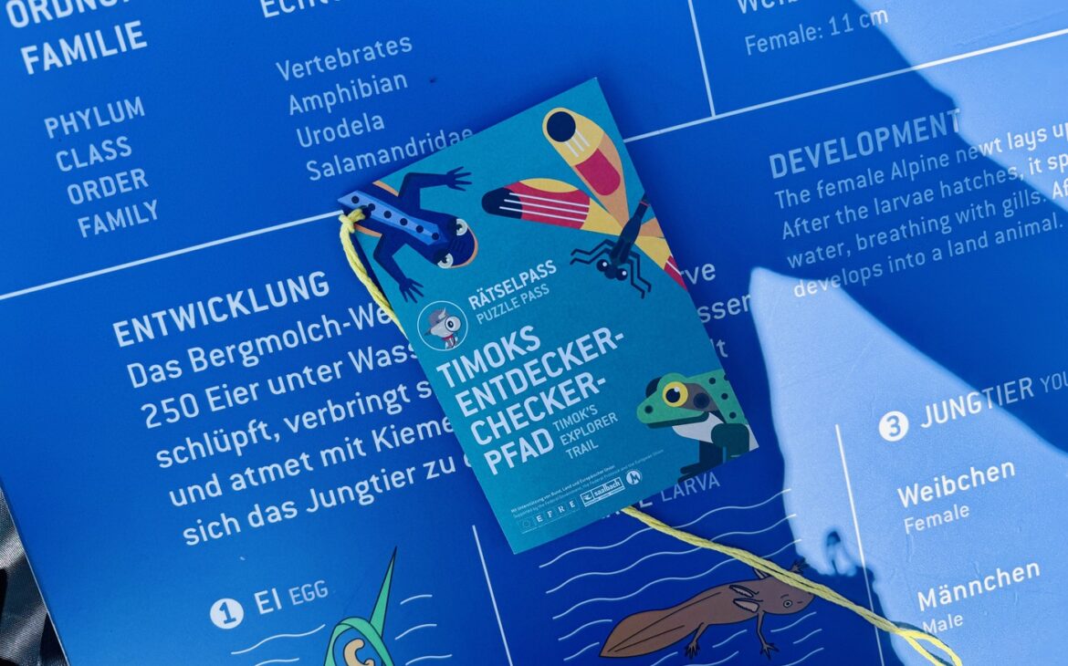 timoks entdecker checker pfad 1170x730 - Timoks Wilde Welt in Fieberbrunn mit Kindern &ndash; alle Tipps f&uuml;r euren perfekten Familienausflug im Pillerseetal