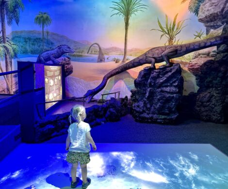 triassic park tirol familienausflug 470x390 - triassic-park-tirol-familienausflug
