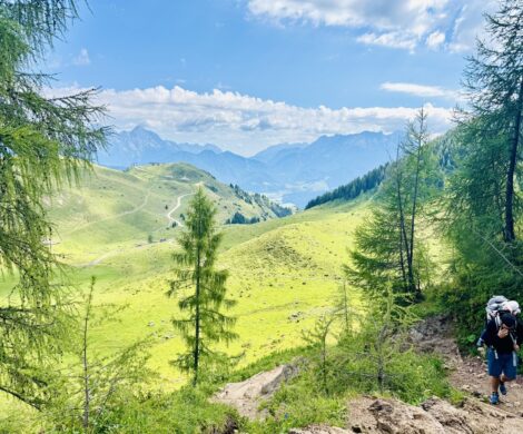 wanderweg wildseelodersee almwiesen 470x390 - wanderweg-wildseelodersee-almwiesen
