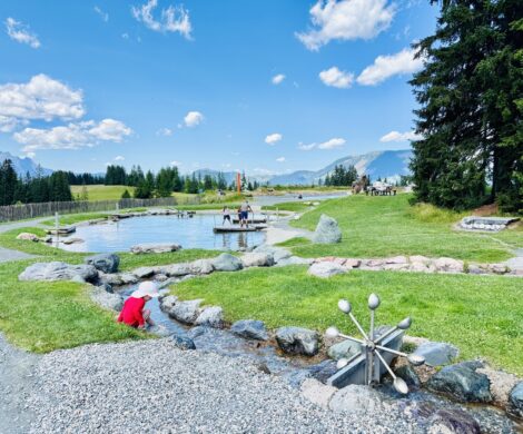 wasserspielplatz timoks wilde welt 470x390 - wasserspielplatz-timoks-wilde-welt