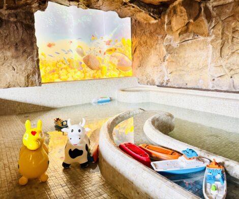 ulrichshof kinderbecken familienhotel 470x390 - ulrichshof-kinderbecken-familienhotel