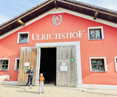 ulrichshof reitstall pferde 470x390 - ulrichshof-reitstall-pferde