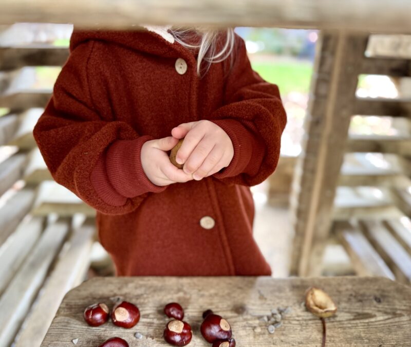 Wollwalk Winterjacke für Kinder: Warum sie im Winter so beliebt ist wollwalk winterjacke kinder petit cochon 800x675 - Wollwalk Winterjacke für Kinder: Warum sie im Winter so beliebt ist